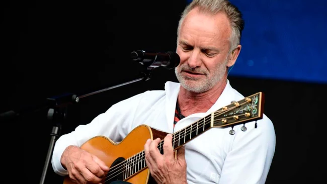 Simple Music Ensemble. Sting